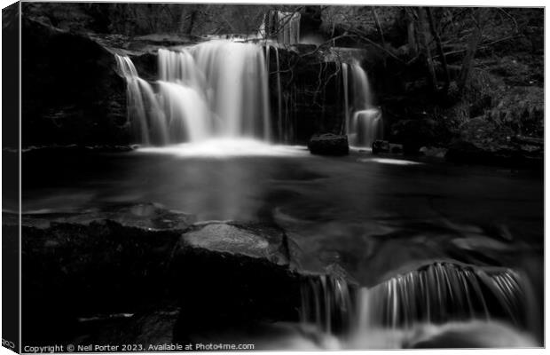 Waterfall Pool Canvas Print by Neil Porter
