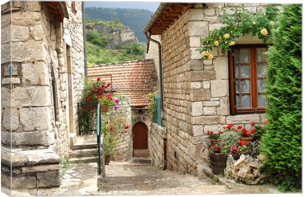 Village in the gorges of the Tarn, France  Canvas Print by Ann Mechan