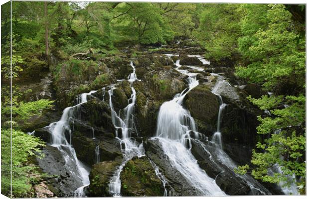 Swallow Falls cascading waterfall  Canvas Print by Fiona Etkin