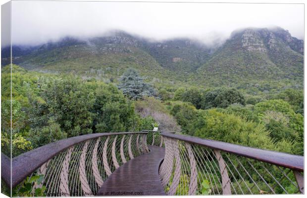 The Boomslang walkway at Kirstenbosch Canvas Print by Fiona Etkin