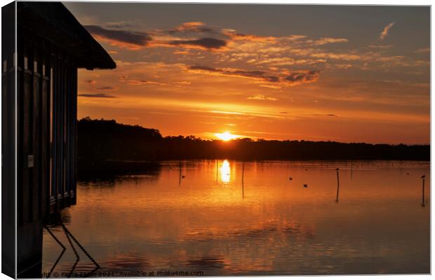 Sunset at Ranworth Broads Canvas Print by Fiona Etkin