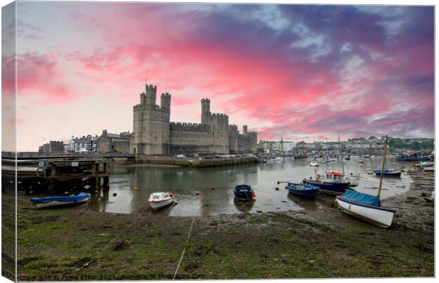 Caernarfon Castle under a pink sky Canvas Print by Fiona Etkin