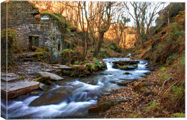 Trethevy Mill and Rocky Falls Canvas Print by Fiona Etkin