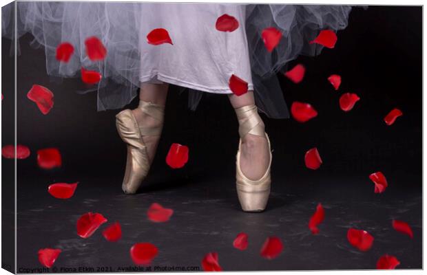 Ballet Slippers and Rose Petals Canvas Print by Fiona Etkin
