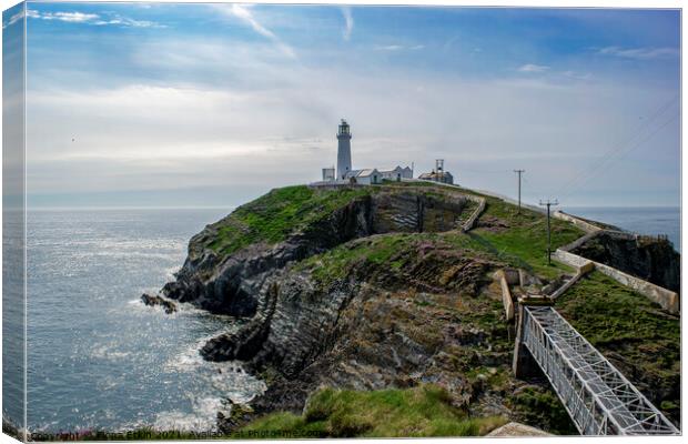 South Stack lighthouse Anglesey Canvas Print by Fiona Etkin