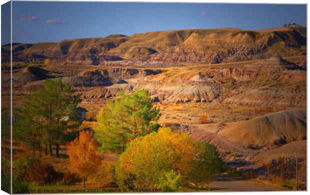 Alberta Bandlands Desert Sand Hills in the Fall in Canvas Print by PAULINE Crawford