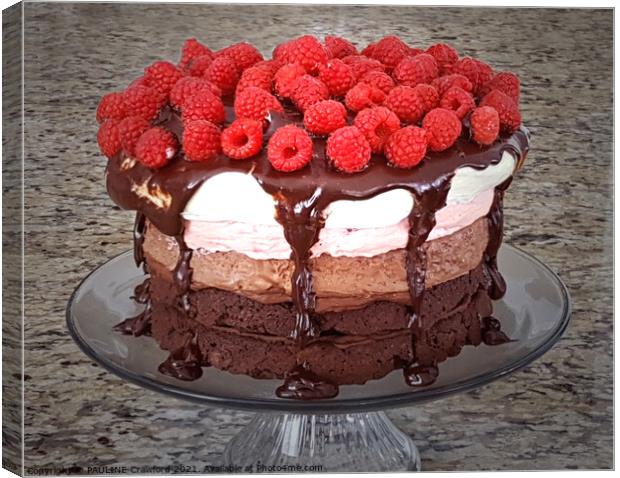 Cake Raspberry Chocolate Strawberry Vanilla Cakes Dessert Canvas Print by PAULINE Crawford