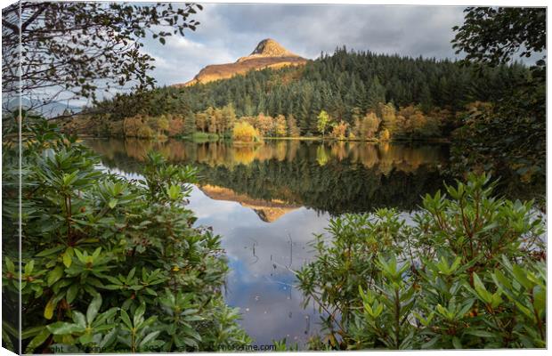 The Pap of Glencoe reflected in Glencoe Lochan Canvas Print by Maxine Stevens