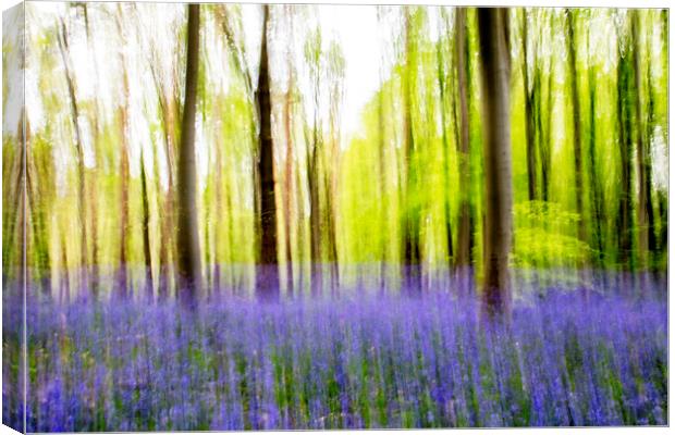 Bluebell Abstract Canvas Print by Picture Wizard