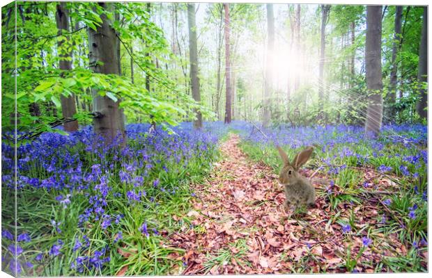Bunny and Bluebells Canvas Print by Picture Wizard