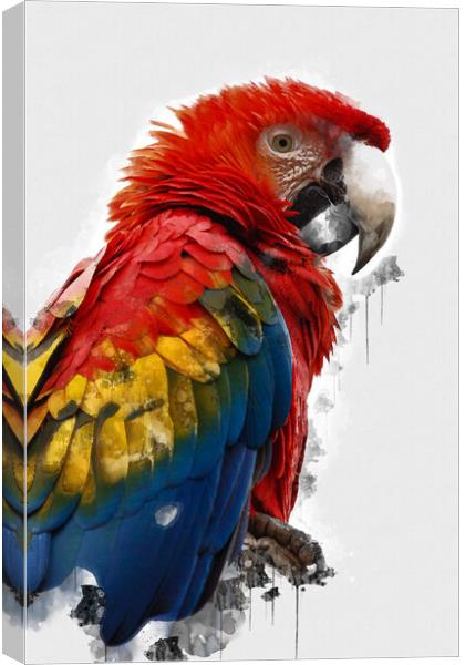 Scarlet Macaw Canvas Print by Picture Wizard