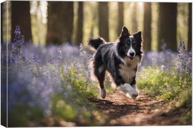 Running Collie Canvas Print by Picture Wizard