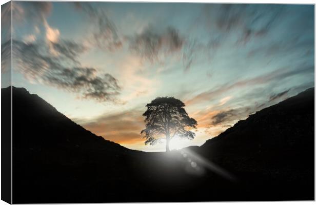 Sycamore Gap Canvas Print by Picture Wizard
