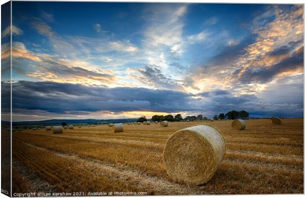 Hay Rolls in a Northumbrian sunset Canvas Print by Lee Kershaw