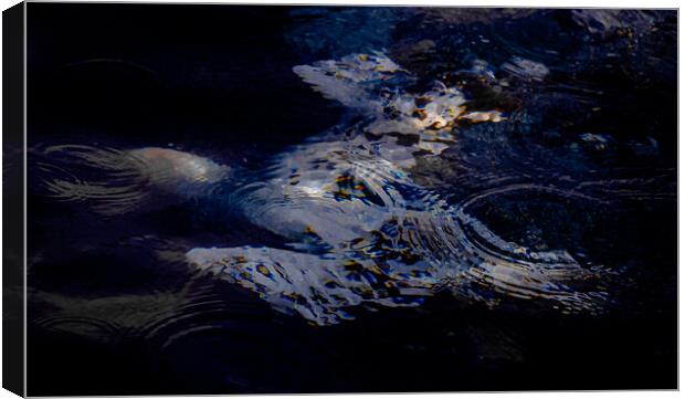 underwater gannet in sun  Canvas Print by Mark Deans