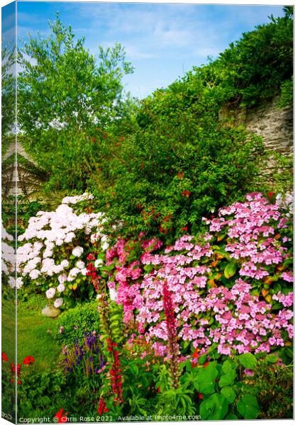 A beautiful summer walled garden border flowerbed Canvas Print by Chris Rose