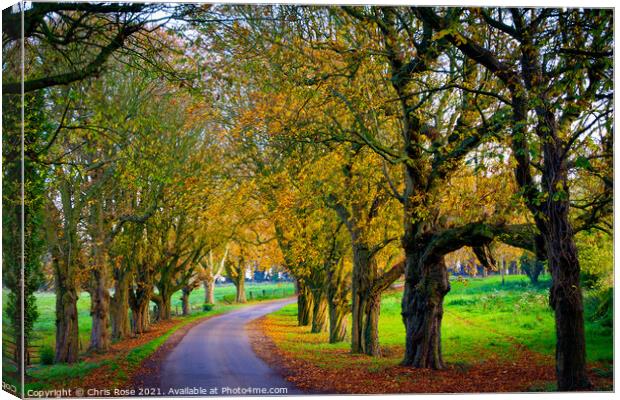 Autumn country lane Canvas Print by Chris Rose