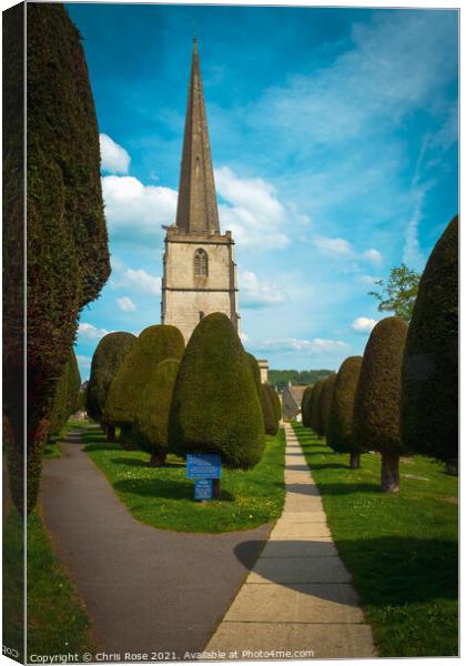 Famous yew trees in the churchyard at Painswick Canvas Print by Chris Rose