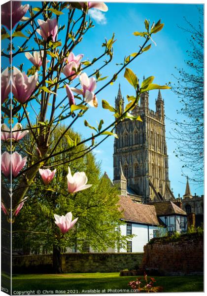 Gloucester Cathedral Canvas Print by Chris Rose