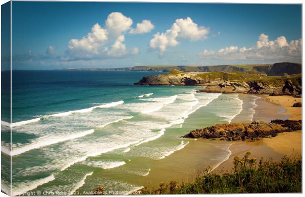Newquay beaches Canvas Print by Chris Rose