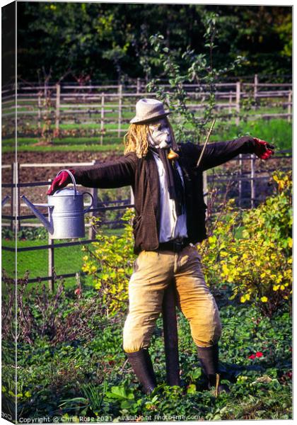 Scarecrow Canvas Print by Chris Rose