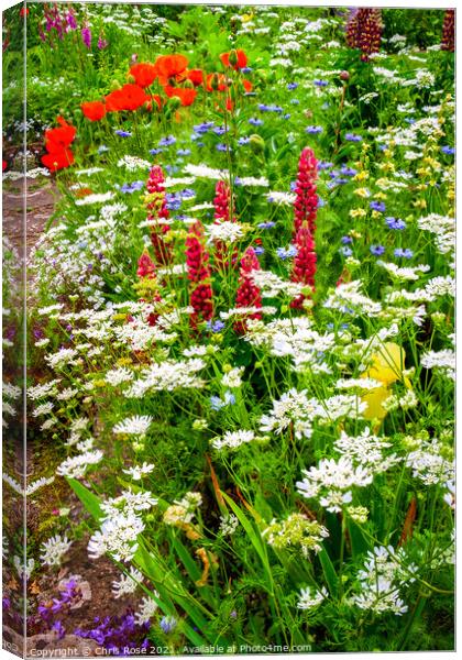 Summer cottage garden border Canvas Print by Chris Rose