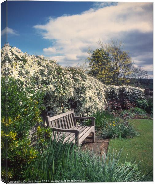 Clematis and bench Canvas Print by Chris Rose