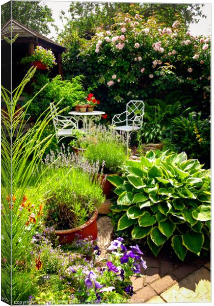 Small densely planted summer garden Canvas Print by Chris Rose