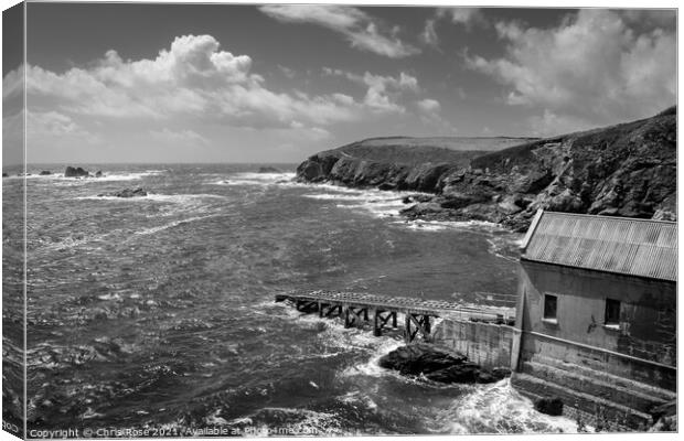 Lizard Point Canvas Print by Chris Rose
