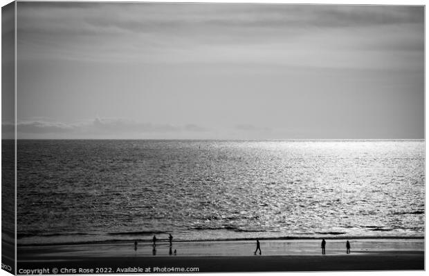 Seaside sunshine beach silhouette Canvas Print by Chris Rose