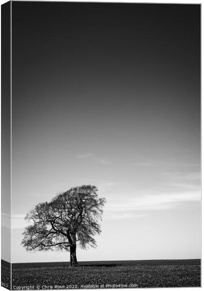 One tree on the horizon landscape Canvas Print by Chris Rose