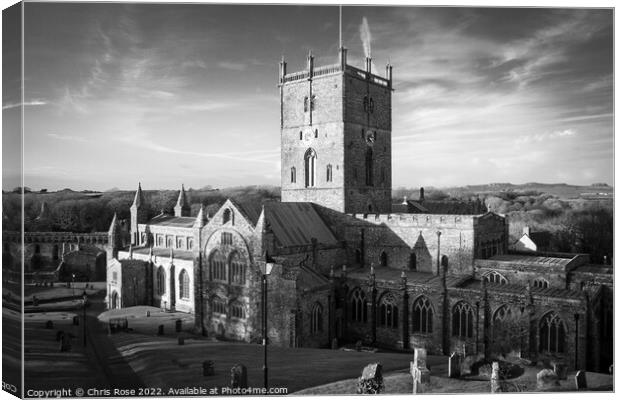 St Davids Cathedral Canvas Print by Chris Rose