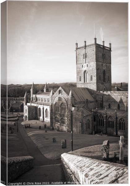 St Davids Cathedral Canvas Print by Chris Rose