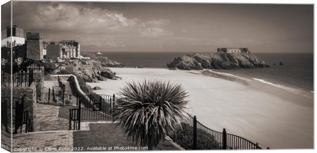Tenby seafront spring sunshine Canvas Print by Chris Rose