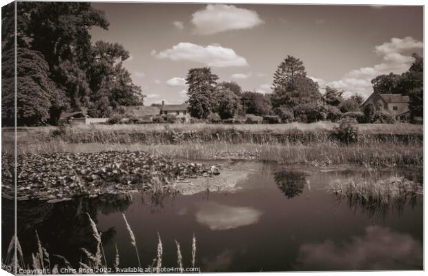 Frampton on Severn.  Village green and ponds. Canvas Print by Chris Rose