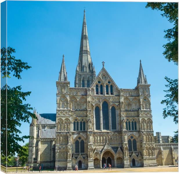 Salisbury Cathedral Canvas Print by Chris Rose