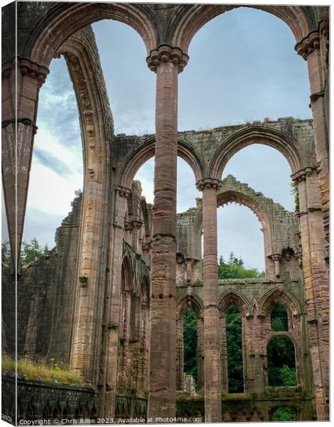 Fountains Abbey columns Canvas Print by Chris Rose