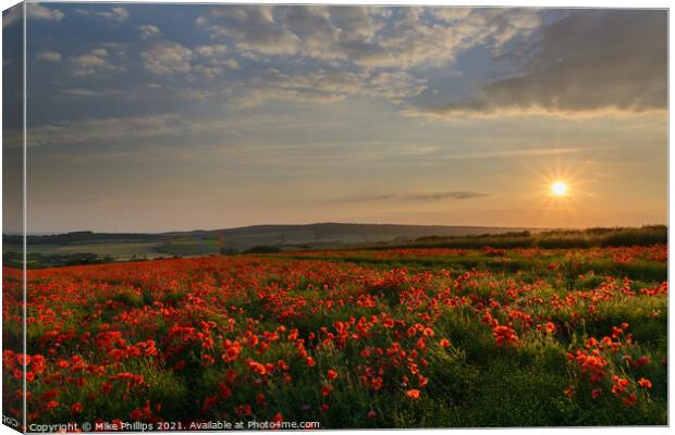 Sunset poppy field in Sussex Canvas Print by Mike Phillips