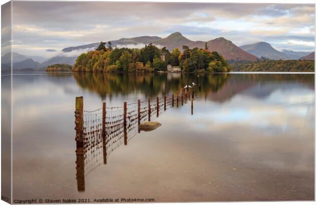 Seagulls at Derwent Water Canvas Print by Steven Nokes