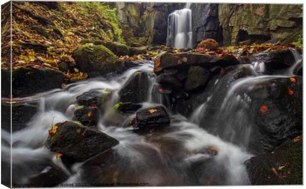 A Serene Autumnal Waterfall Canvas Print by Steven Nokes