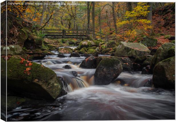 Tranquil Autumn Stream Canvas Print by Steven Nokes