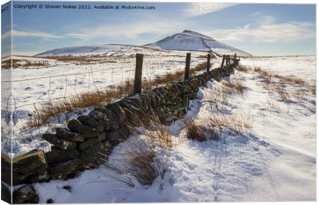 Majestic Winter Wonderland Canvas Print by Steven Nokes