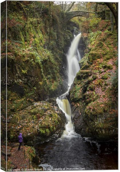 The Enchanting Aira Force Waterfall Canvas Print by Steven Nokes