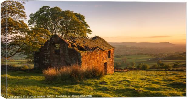 Abandoned Glory Canvas Print by Steven Nokes