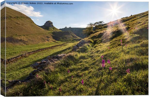 A Breathtaking Display of Wild Orchids Canvas Print by Steven Nokes