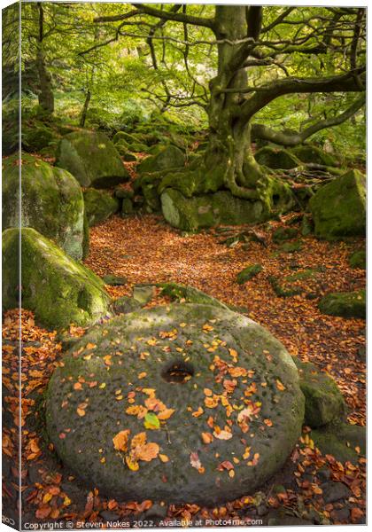 Ancient Relics of Padley Gorge Canvas Print by Steven Nokes