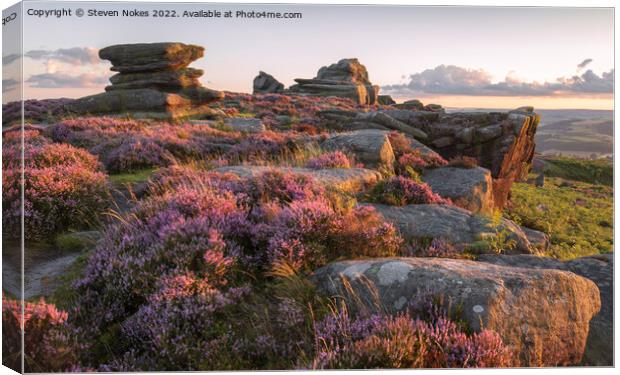 Majestic Heather Overlooking Peak District Canvas Print by Steven Nokes
