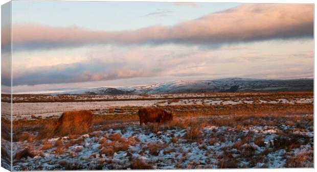 Winter Grazing  Canvas Print by Angela Lee