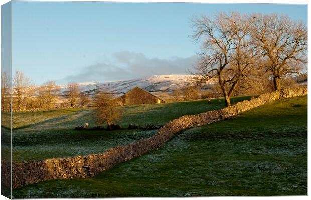 Dry stone wall Canvas Print by Angela Lee