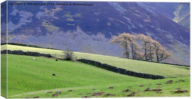 Lake District trees and walls Canvas Print by Phil Robinson
